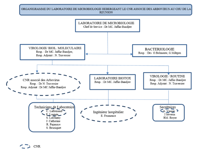 organigramme du laboratoire de microbiologie